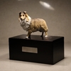 Pet Souvenir Box Cat Urns Small Animal Urn Rabbit Urn Pet Memorial Urns Wood Funeral Urns Pet Cinerary Casket Pet Cremation Dog Memorial Pet Ash Urn Dog Urn Wooden Coffin