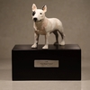 Pet Urn casket Animal Pet Memorial Keepsake Urns Pet Ashes Urn Pet Ash Container Puppy Keepsake Urns Dog cat Cremation Urns Pet Cinerary Casket Pet Ashes Keepsake Dog Ash Bottle