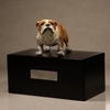 Pet Urn casket Animal Pet Memorial Keepsake Urns Pet Ashes Urn Pet Ash Container Puppy Keepsake Urns Dog cat Cremation Urns Pet Cinerary Casket Pet Ashes Keepsake Dog Ash Bottle