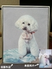 Pet hand-painted oil painting custom dog portrait pure handmade custom kitten dog portrait photo animal hanging painting