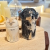 Customized hand made pet urn casket with pictures, hand drawn fiberglass urn for cats and dogs, exclusive memory pet souvenir ornament